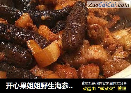 开心果姐姐野生海参焖纯种土猪肉