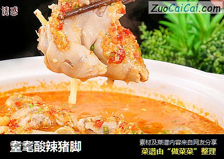 耋耄酸辣猪脚