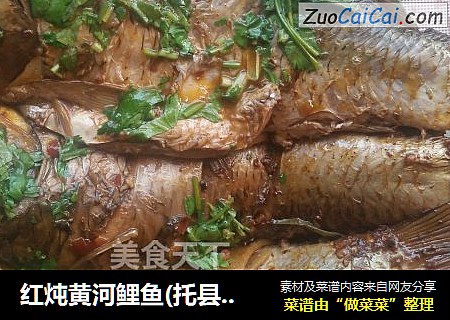红炖黄河鲤鱼(托县炖鱼)
