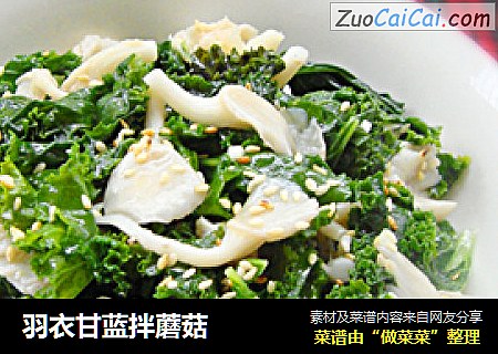 羽衣甘蓝拌蘑菇