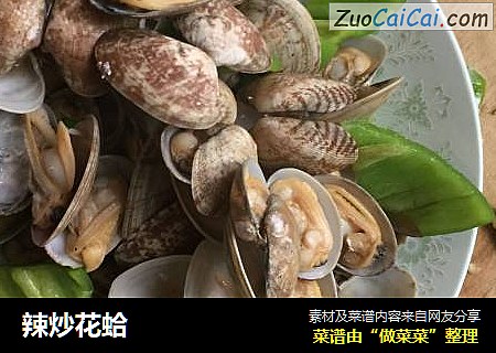 辣炒花蛤