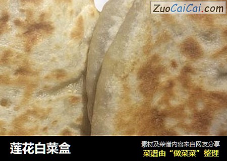 莲花白菜盒