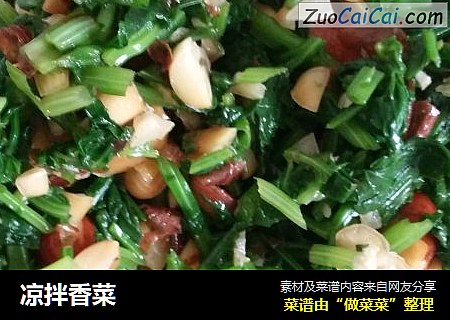 凉拌香菜