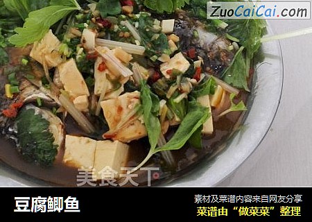 豆腐鲫鱼