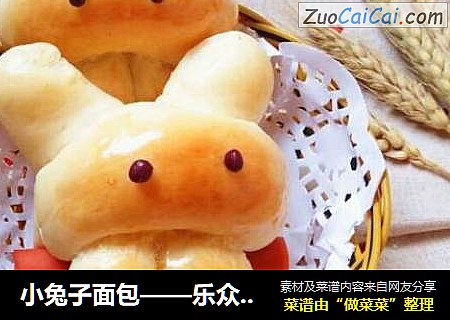 小兔子面包