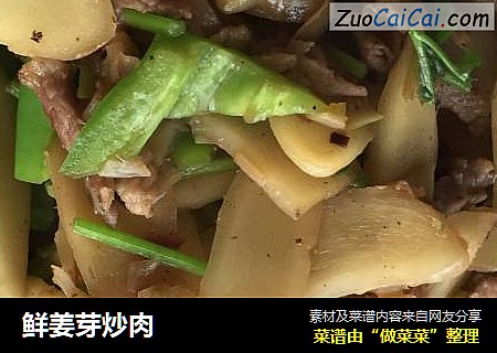 鲜姜芽炒肉