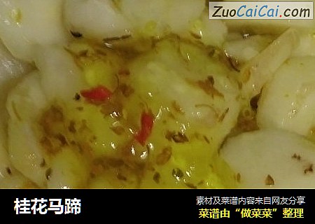 桂花马蹄