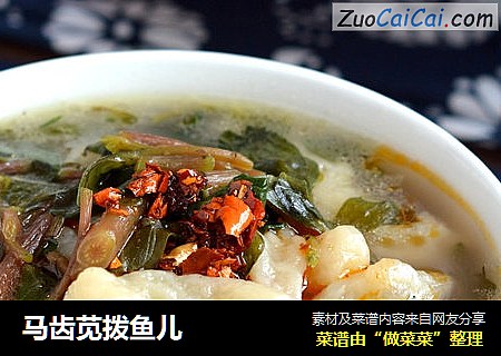 马齿苋拨鱼儿