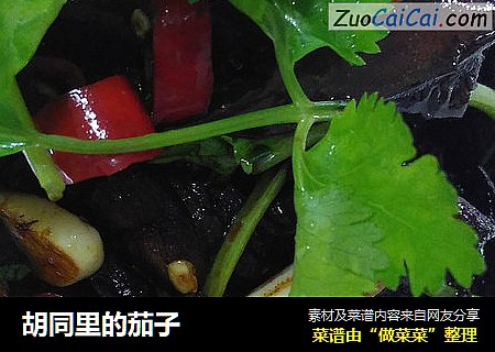 胡同里的茄子