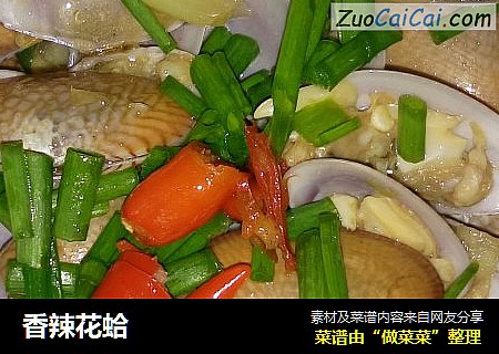 香辣花蛤