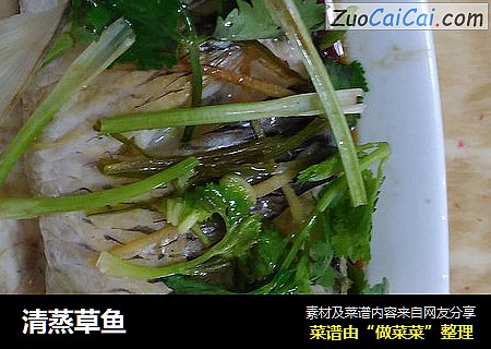清蒸草鱼