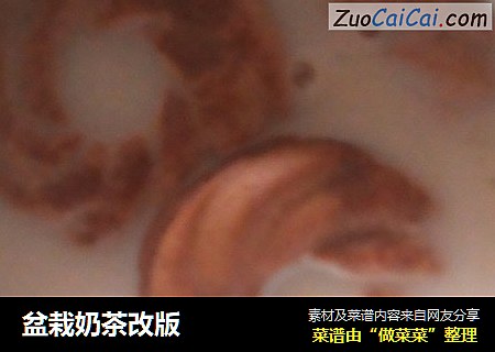 盆栽奶茶改版