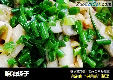 响油蛏子