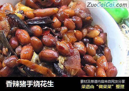 香辣猪手烧花生