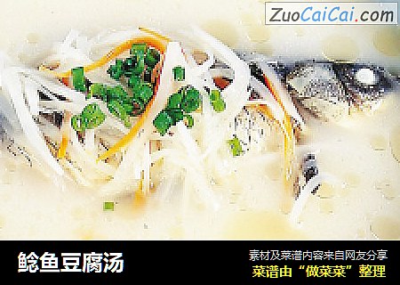 鲶鱼豆腐汤