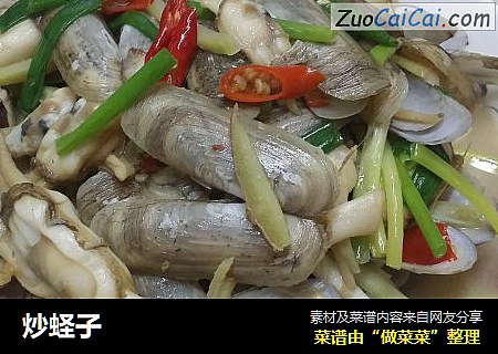 炒蛏子