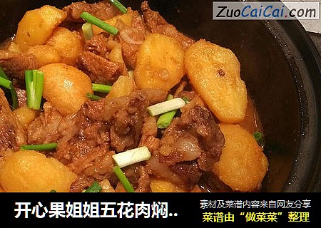 开心果姐姐五花肉焖土豆