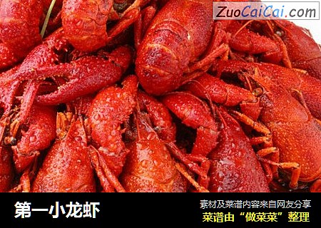 第一小龙虾