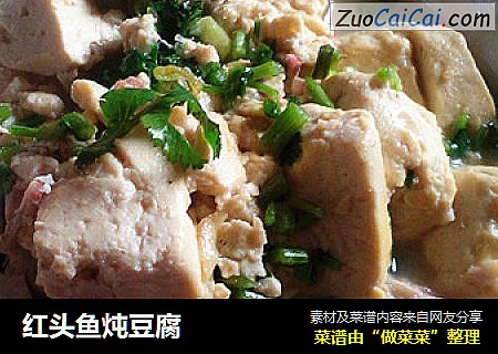 红头鱼炖豆腐