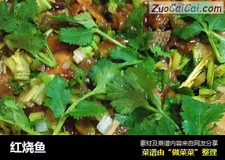 红烧鱼