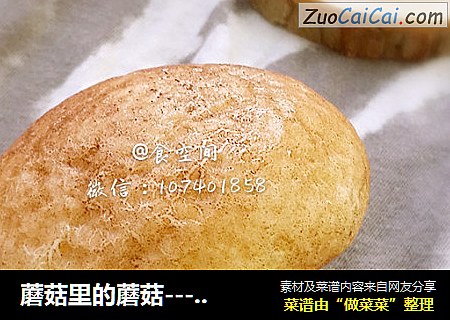 蘑菇里的蘑菇---详解蘑菇包