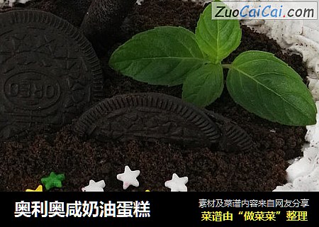 奥利奥咸奶油蛋糕