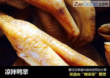 凉拌鸭掌