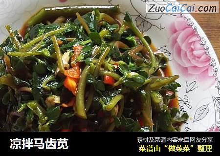凉拌马齿苋