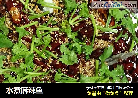 水煮麻辣鱼