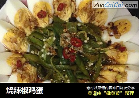 烧辣椒鸡蛋