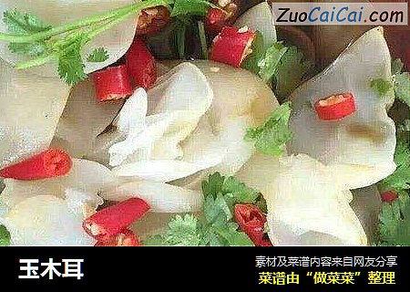 玉木耳