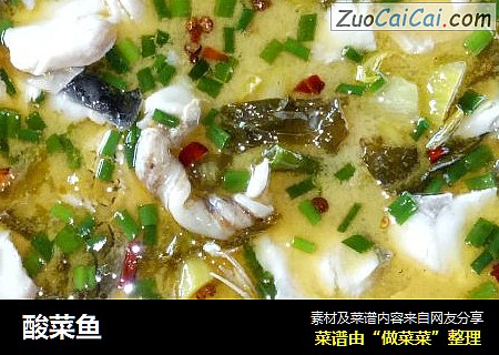 酸菜鱼