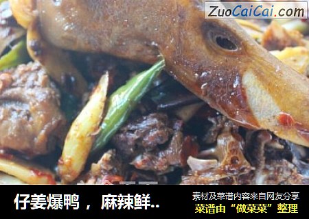 仔姜爆鸭，麻辣鲜香！