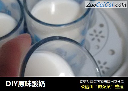 DIY原味酸奶