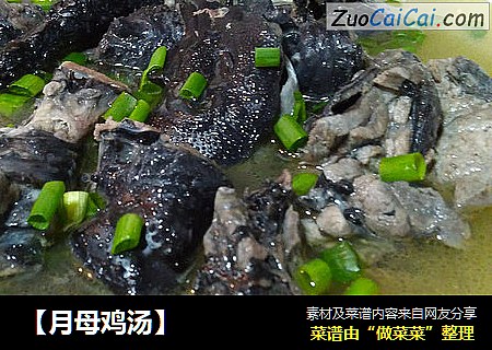 【月母鸡汤】