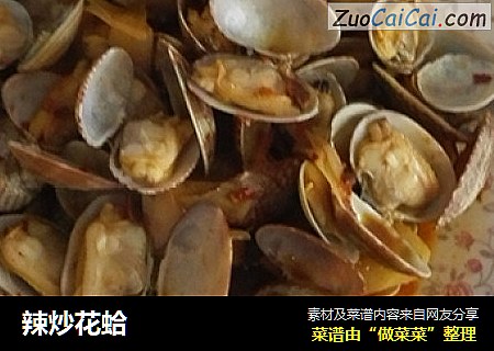 辣炒花蛤
