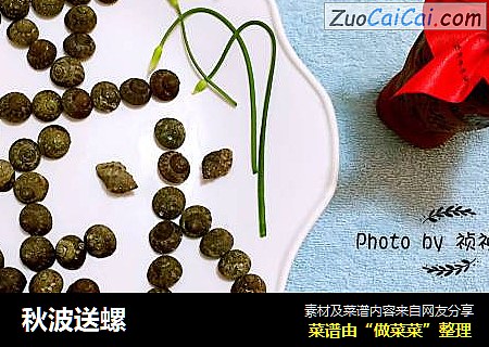 秋波送螺