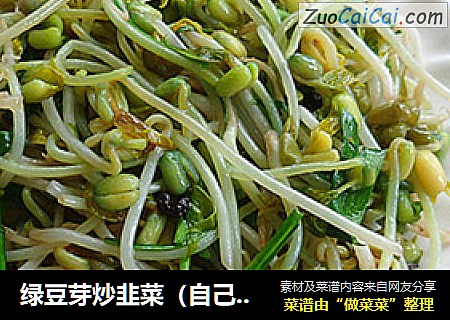 绿豆芽炒韭菜（自己发绿豆芽）