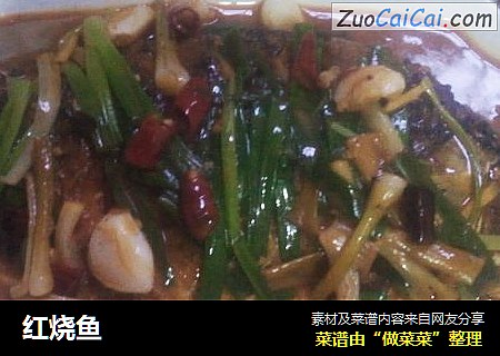 红烧鱼