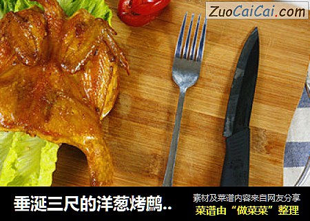 垂涎三尺的洋葱烤鹧鸪做法