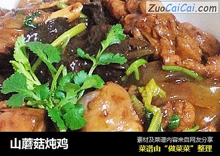山蘑菇炖鸡