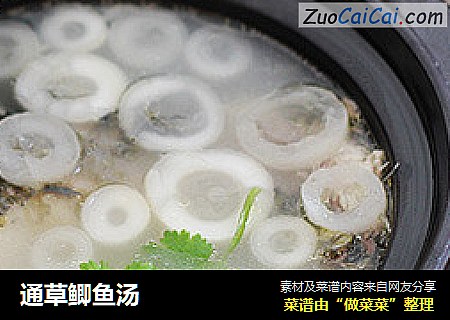 通草鲫鱼汤