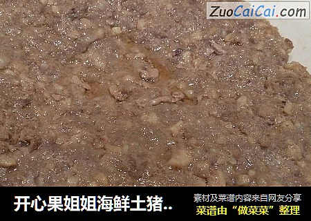 开心果姐姐海鲜土猪肉饼