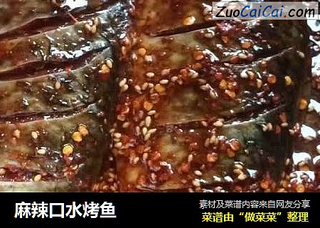 麻辣口水烤鱼