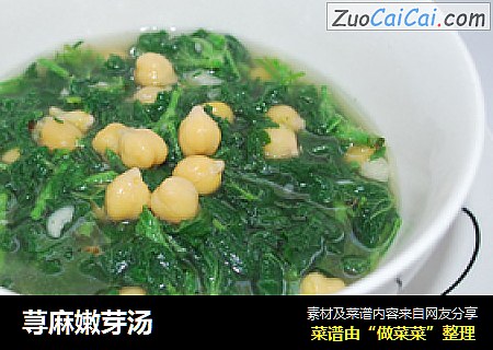 荨麻嫩芽汤