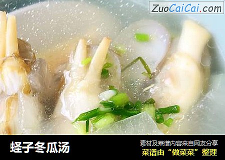 蛏子冬瓜汤