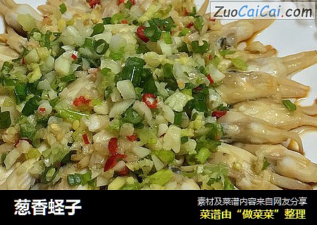 葱香蛏子