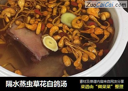 隔水蒸虫草花白鸽汤