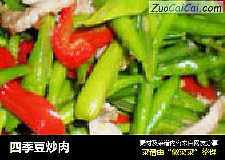 四季豆炒肉