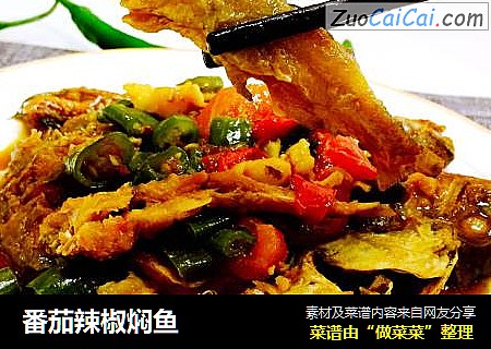 番茄辣椒焖鱼